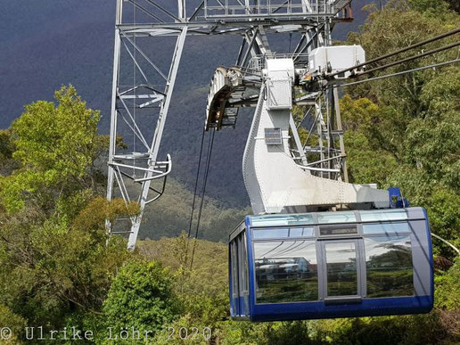 Scenic Skyway in Scenic World, Katoomba 
