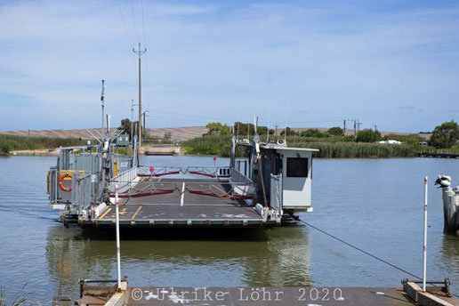Narrung Ferry