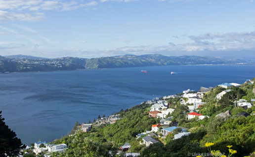 Ausblick vom Mount Victoria auf Wellington