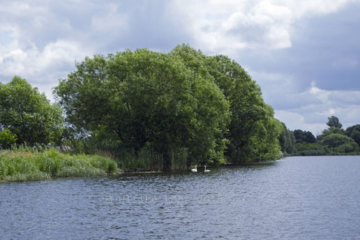 Flusslandschaft an der Brandenburger Havel