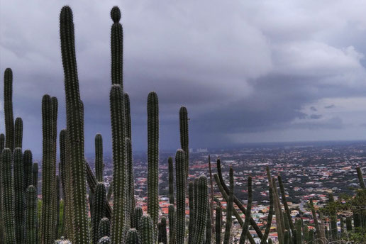 Hooiberg, Unwetter Aruba, Tropensturm