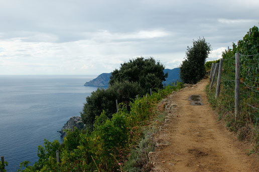 Wanderwege Cinque Terre, Ligurien