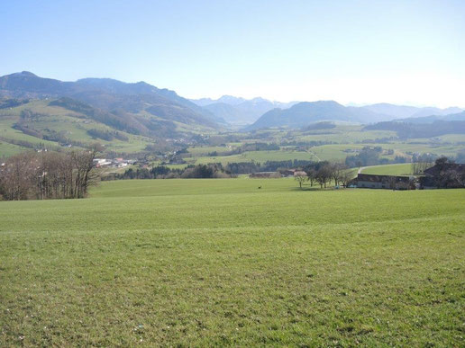 Traumhaftes Panorama übers Mollner Becken.