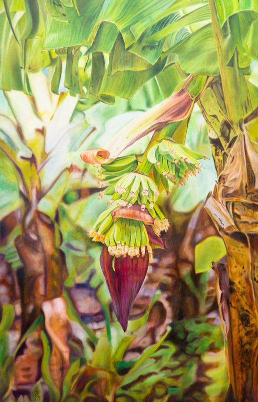 Bananenstaude 122 x 80 x 4 cm, Öl auf Baumwolle 2025