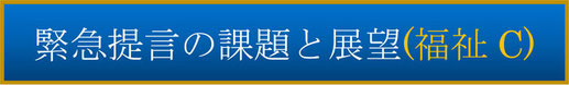 緊急提言の課題と展望（福祉C）