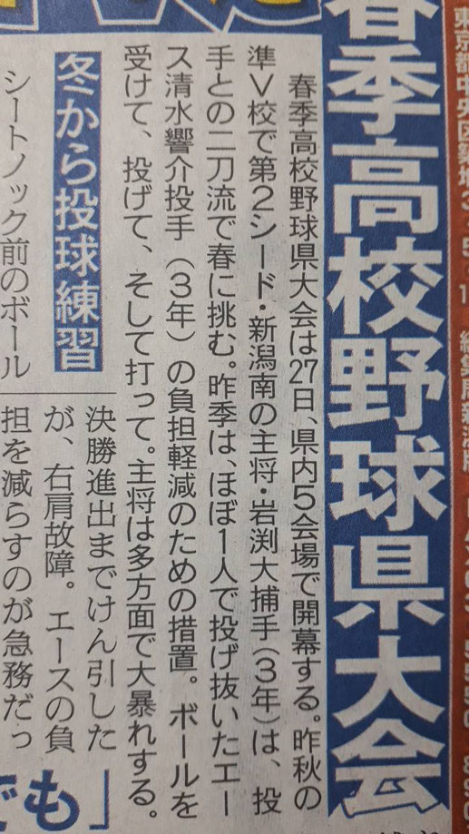 野球 情報 高校 局 マイナー