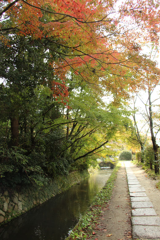 Kyoto - 7 Day Itinerary For Active Families with Small Kids - A Walk Along the Philosopher’s Path