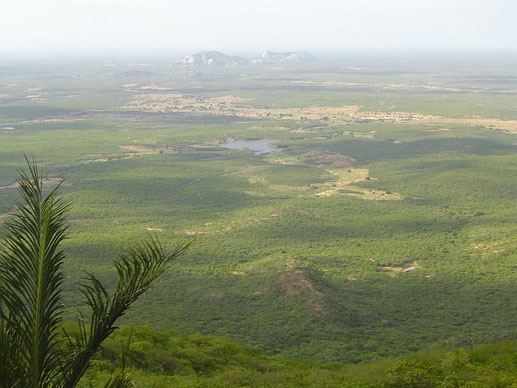 Savanne Rio Grande do Norte, Brazil