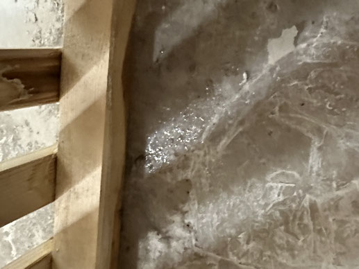 20. Februar 2026. Das stehende Wasser glitzert.
