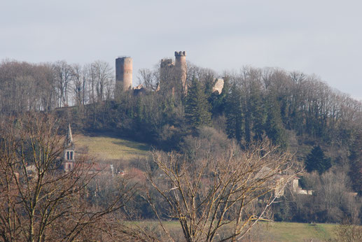 Château et village de Bressieux