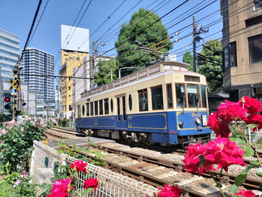 Tokyo Sakura Tram