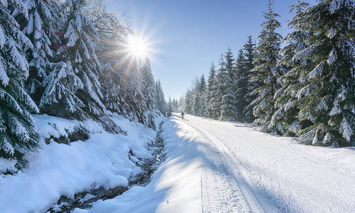 Wunderschön verschneiter Wald mit einem verschneiten Weg mit Langlauf-Loipe und Skifahrer weit hinten