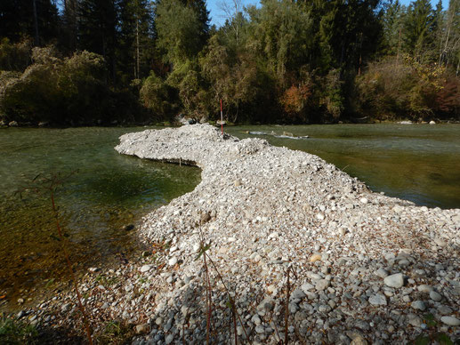 "Flussbetonbuhne" aus Flusskies mit Zement gebunden, ca. 15m lang