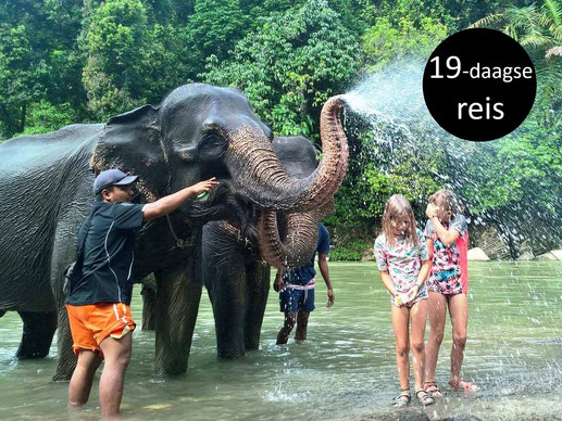 Plezier met olifanten bij Tangkahan Sumatra
