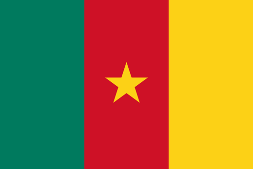 Le nouveau drapeau du Cameroun. Les dexu étoiles sur la bande verte ont disparu. Il n'y en aura plus qu'une au centre de la bande rouge. 