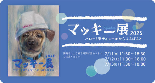 マッキー展2025〜ハロー！東ティモールからはるばると | 2025.7.11fri-13 sun11:30〜18:00(11のみ最終18:30) 