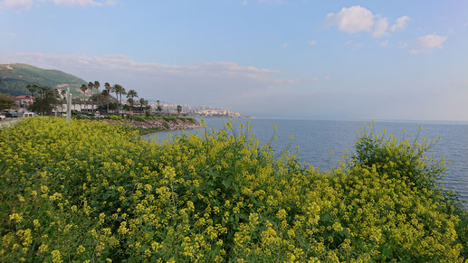 The Sea of Galilee view