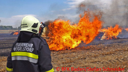 Feuerwehr, Blaulicht, BFKDO Baden, Brand, Feld, Strohballen, Weigelsdorf