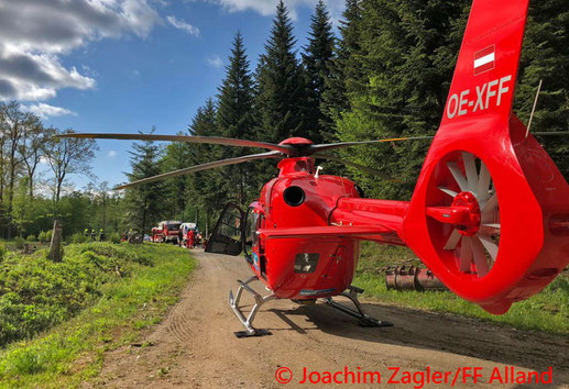 Feuerwehr; Blaulicht; BFKDO Baden; Reitunfall; Waldgebiet; Wald; FF Alland;