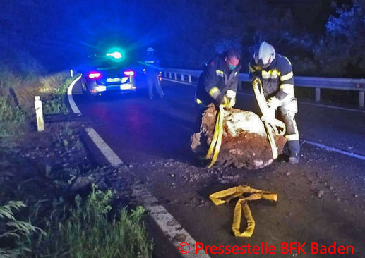 Feuerwehr; Blaulicht; BFKDO Baden; FF Traiskirchen; Brand; PKW; Unfall; Ortsgebiet;