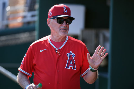 Joe Maddon (Getty Images)