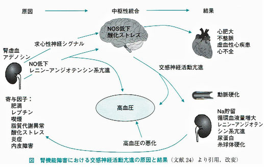 「腎と透析 vol.69」より