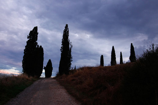 Road trip Tuscany, Italy, lonelyroadlover