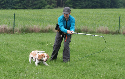 Foto: Andreas Bumb, Bettina beim Reizangeltraining mit Waffle (Beagletrainingswoche mit Christiane Ostermeier)