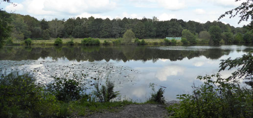 Bild: Rückhaltebecken