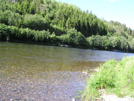 Surna in der Nähe von Surnadalsöra (N).
