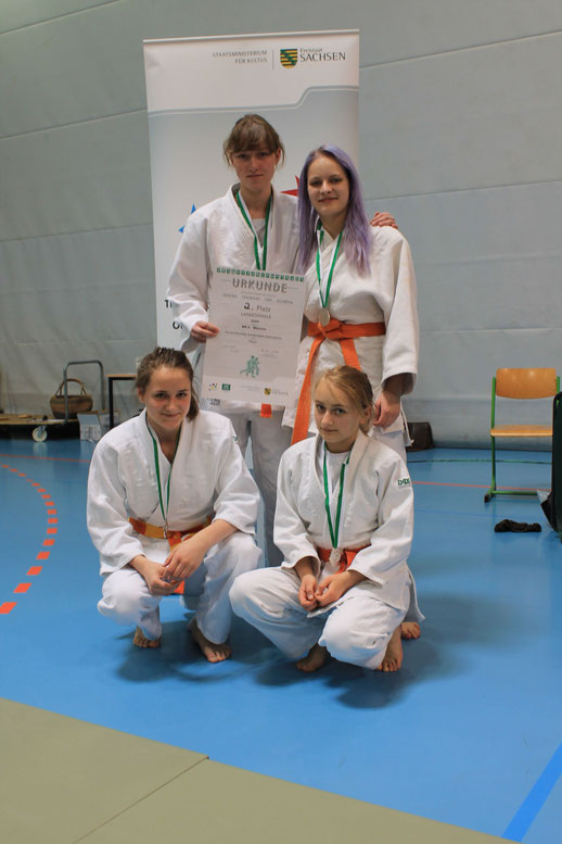Teilnehmer am Landesfinale Judo WK II Mädchen - HGG Thum   2. Platz