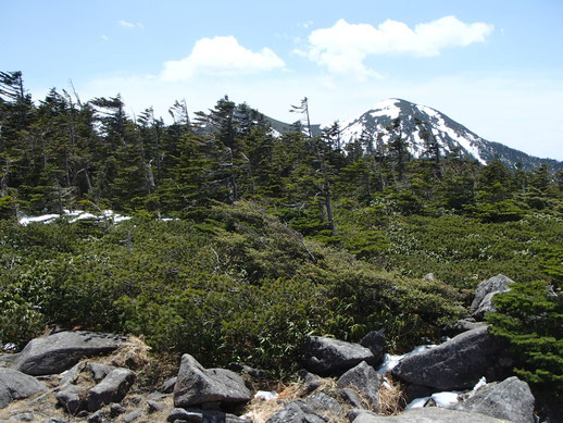 八ヶ岳　雪山　登山　ガイド