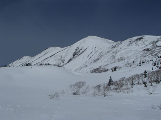 火打山　雪山　登山　ツアー　