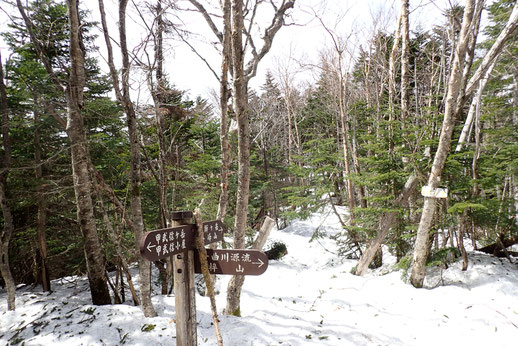 天狗岳　雪山　登山　ガイド　