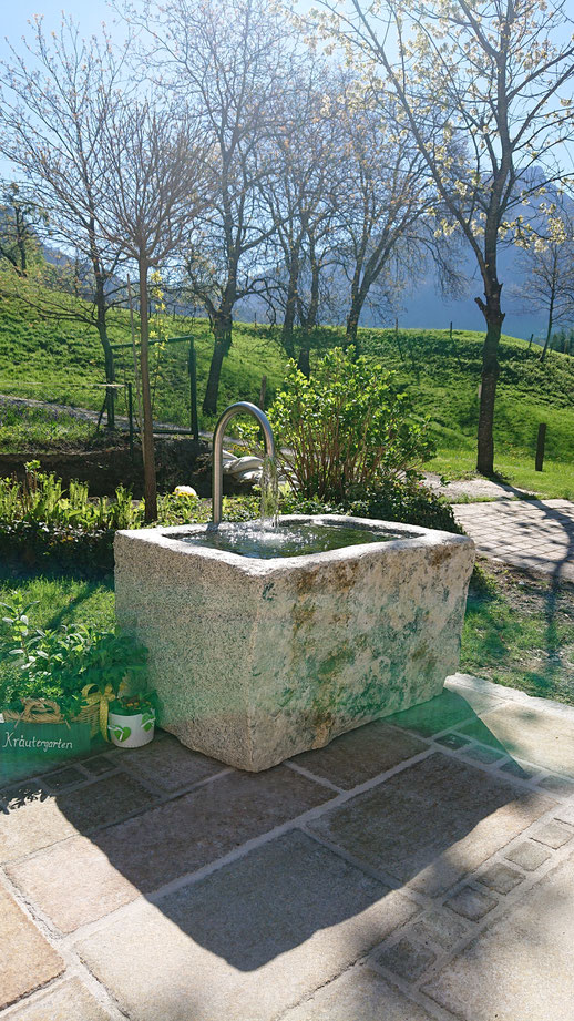 Garten- und Aussenanlagen mit Naturstein, Oberauer Nußdorf