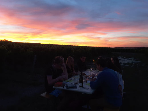 visite-degustation-insolite-nocturne-dans-les-vignes-vignoble-Vouvray-Touraine-Amboise-Tours