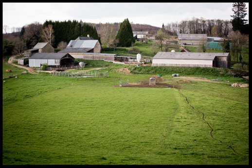 L'exploitation agricole de François Tavé