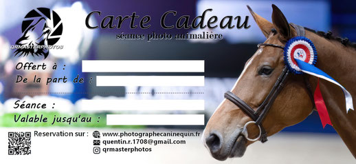 carte cadeau seance photo cheval photographe equin lyon idee cadeaux noel