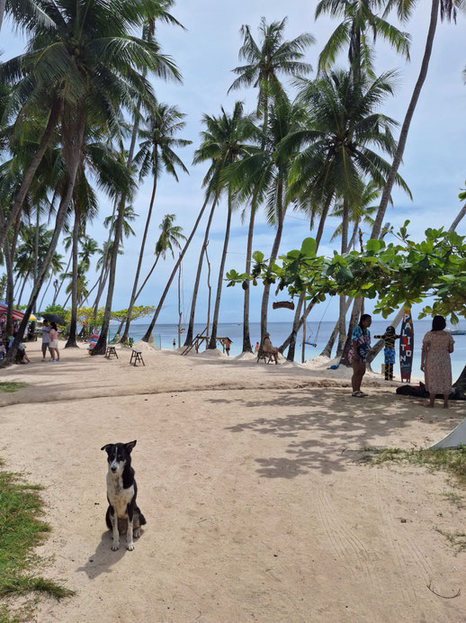 Siquijor, entrée de la plage de Paliton