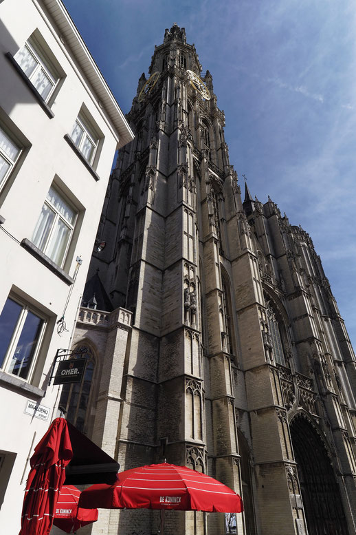 Antwerpen - Antwerp - Anvers - Onze-Lieve-Vrouwekathedraal