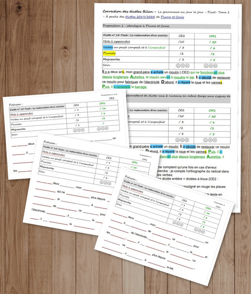 Orthographe Dictées Picot Grammaire Méthode Picot Correction CE2 CM1 cycle 2 cycle 3