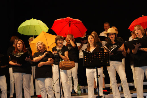 Der Schwechater Gesang- und Musikverein im Jahr 2011 