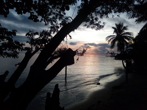 sonnenuntergang himmel strand palmen bäume meer kostenlos gratis fotos gewerbliche nutzung bilder download