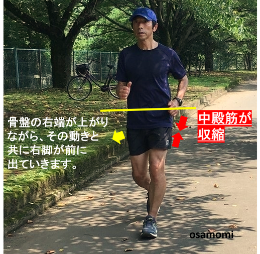 中殿筋が大事!昭島市でウォーキング教室をお探しなら、競歩技術を取り入れたオサモミウォーキング教室昭島。
