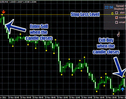 Unstopplable Forex Profit