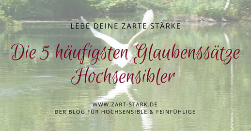 Foto fliegender Schwan "Die 5 häufigsten Glaubenssätze Hochsensibler"