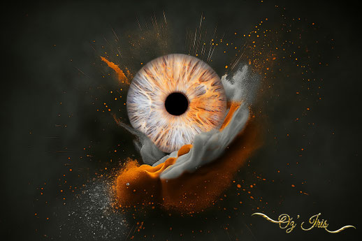 Oz' Iris, Photographie d' Iris à Millau ( Aveyron )