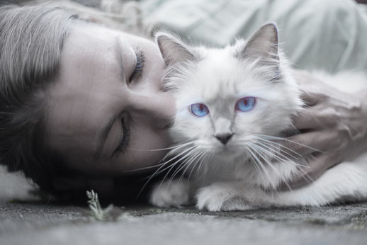 Una chica y su gato