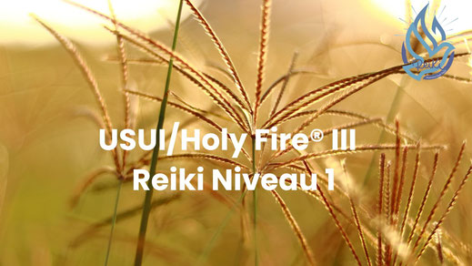 Stage Usui/Holy Fire III Niveau 1 à Tours