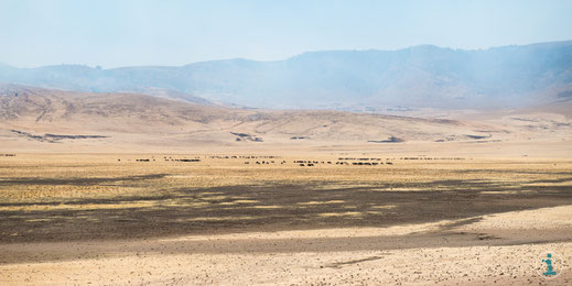 ingos fotos, Ngorongoro Hochland, Tansania